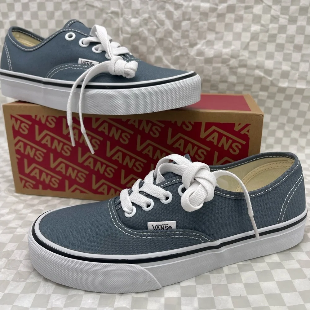 Vans WMNS Authentic Color Theory Stormy Weather VN000EGARV2 Sneakers